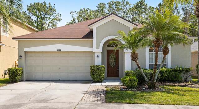 Photo of 12526 Blazing Star Dr, Tampa, FL 33626