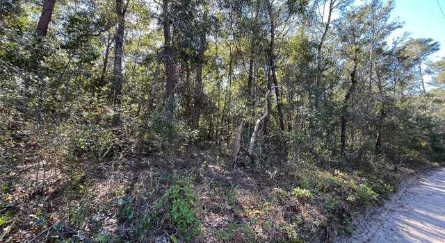 Photo of Spring St E, De Leon Springs, FL 32130