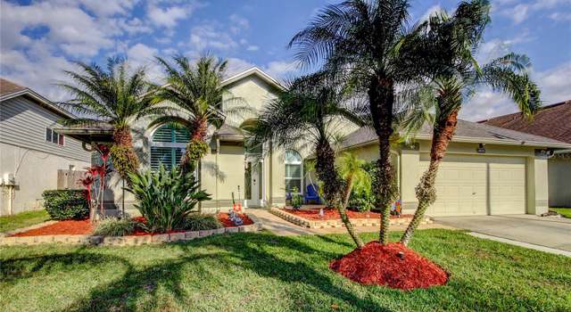 Photo of 10026 Oasis Palm Dr, Tampa, FL 33615