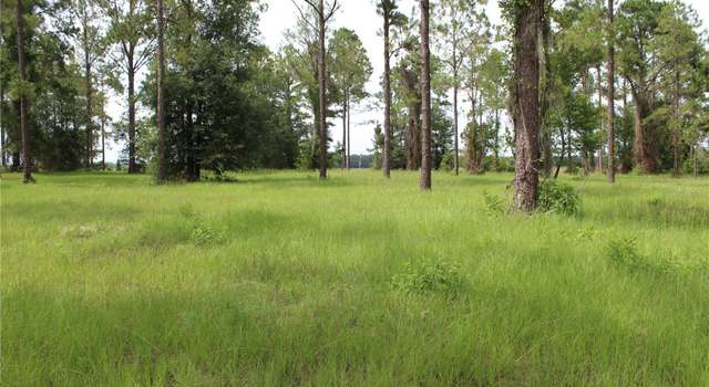 Photo of Bonsmara Dr Lot 16, Groveland, FL 34736