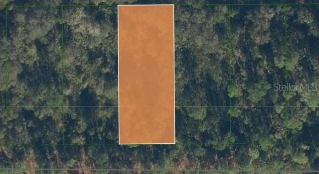 Photo of 116 Coldbrook St, Georgetown, FL 32139