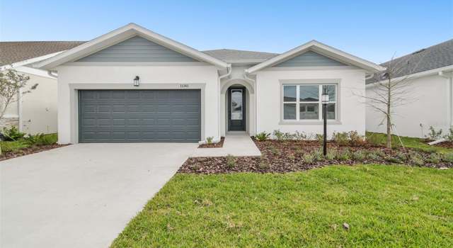 Photo of 11341 Hardwood Hammock Ln, Riverview, FL 33569
