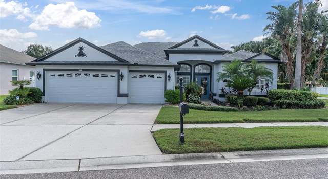 Photo of 1516 African Violet Ct, Trinity, FL 34655