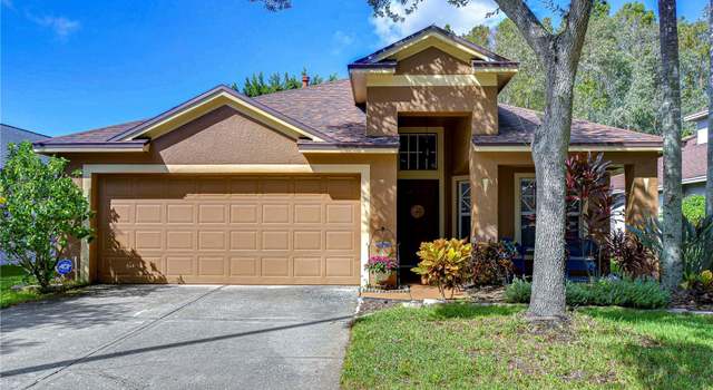 Photo of 10222 Woodford Bridge St, Tampa, FL 33626