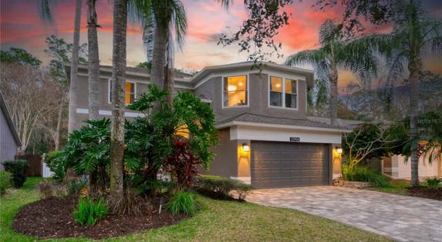 Photo of 12956 Royal George Ave, Odessa, FL 33556