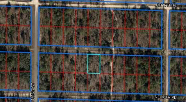 Photo of NE 16th Ln, Williston, FL 32696