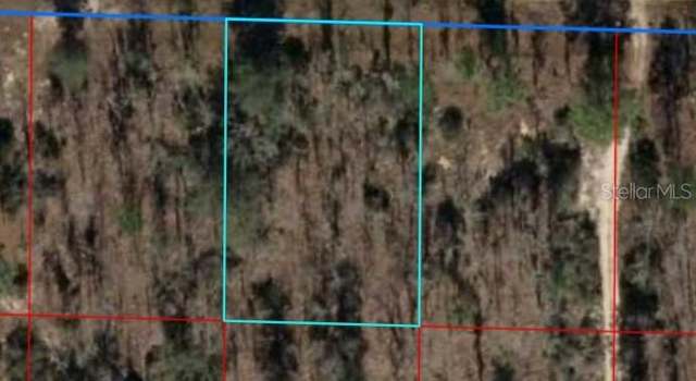 Photo of NE 16th Ln, Williston, FL 32696