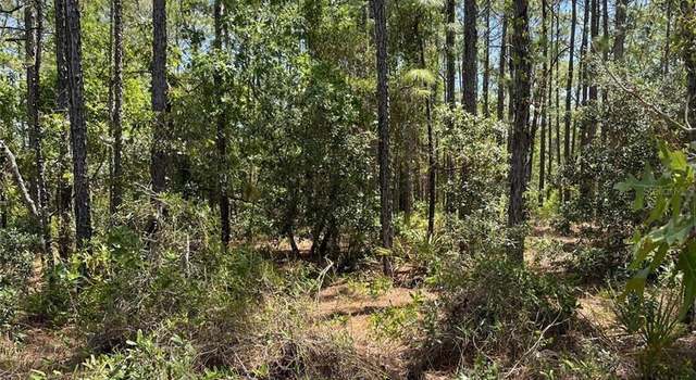 Photo of 00 Pomp {lot7003} Pkwy, Weeki Wachee, FL 34614