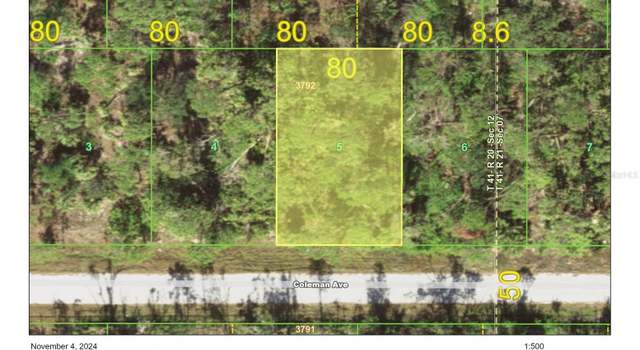 Photo of 11988 Coleman Ave, Port Charlotte, FL 33981