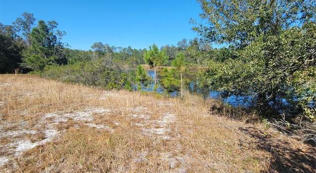 Photo of Pfundstein Rd, Babson Park, FL 33827
