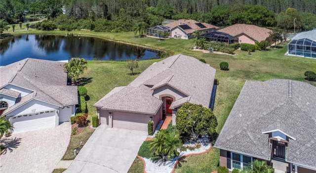 Photo of 20721 Nectarine Pl, Land O Lakes, FL 34637
