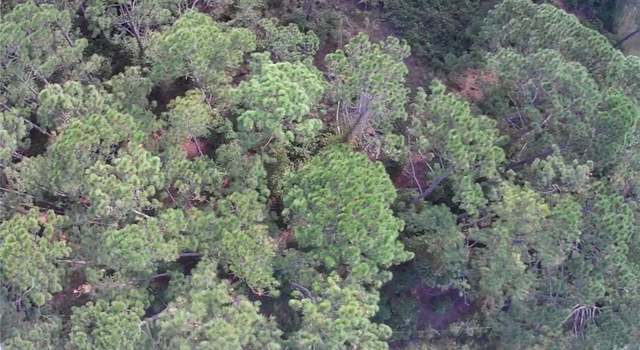 Photo of 105 Pine Cone Dr, Georgetown, FL 32139