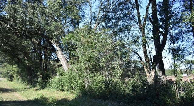 Photo of 000 SW CR 241, Archer, FL 32618