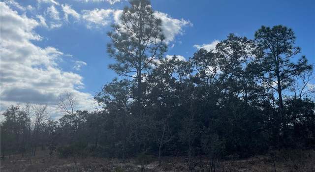 Photo of 27 Freesia Ct, Homosassa, FL 34446