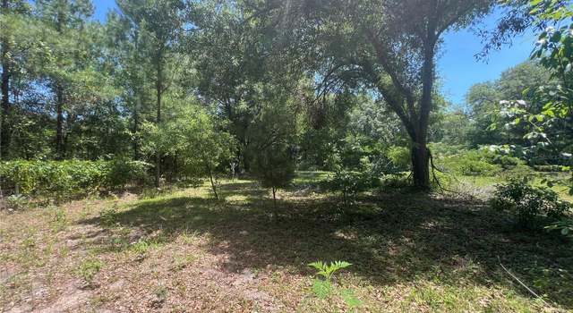 Photo of 2797 NE 164th Pl, Citra, FL 32113
