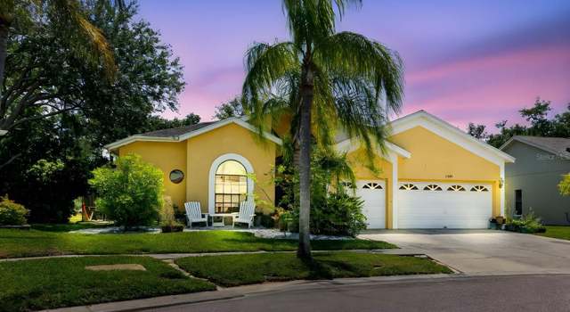 Photo of 11209 Pocket Brook Dr, Tampa, FL 33635
