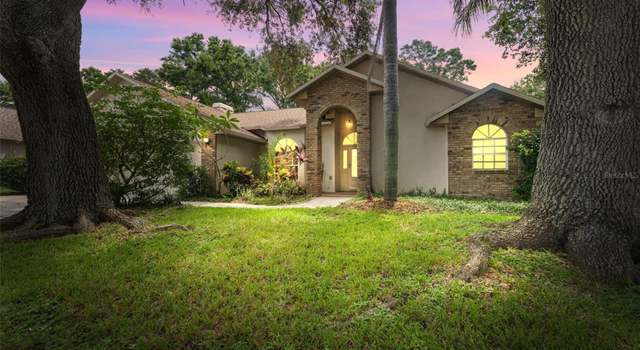 Photo of 3001 Folklore Dr, Valrico, FL 33596