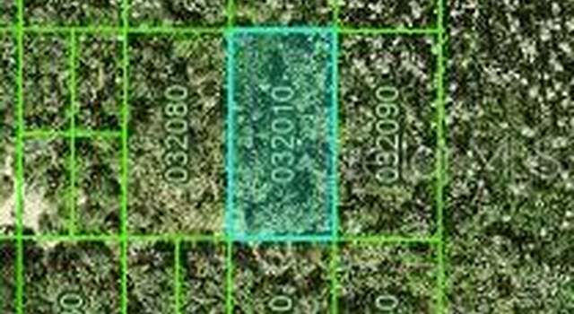 Photo of Inaccessible Tract, Kathleen, FL 33849
