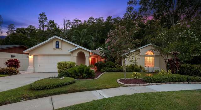 Photo of 3663 Rusty Grackle Dr, Palm Harbor, FL 34683