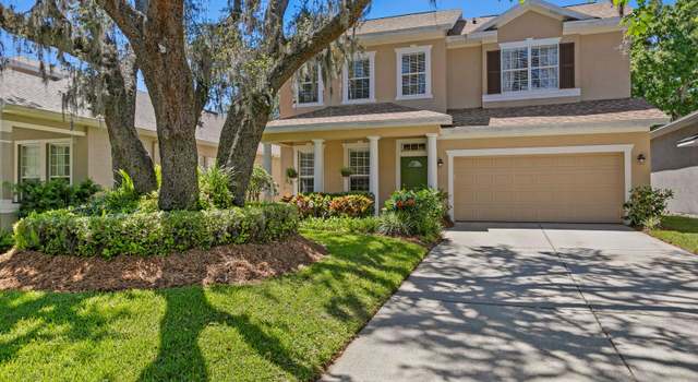 Photo of 13312 Tiger Lilly Ln, Tampa, FL 33625