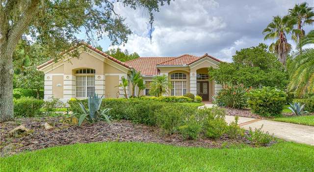 homes for rent in lutz florida 33558