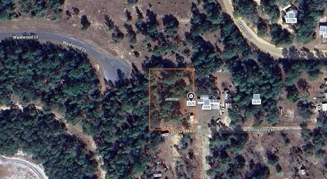 Photo of 250 N Mirror Lake Dr, Interlachen, FL 32148