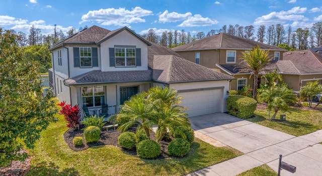 Photo of 5535 Shasta Daisy Pl, Land O Lakes, FL 34639