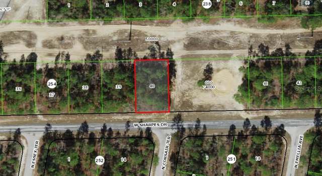 Photo of 2905 W Sharpes Dr, Citrus Springs, FL 34433