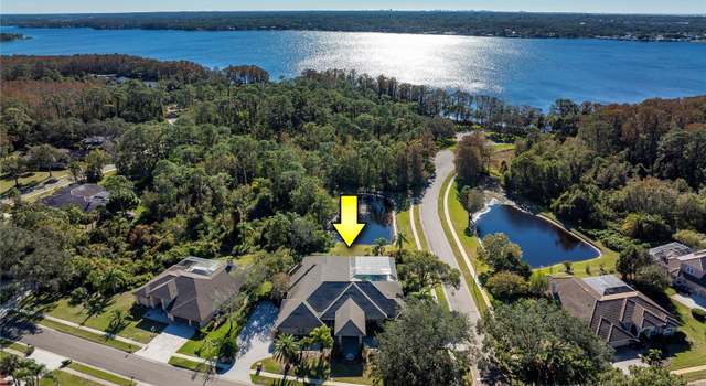 Photo of 3810 Executive Dr, Palm Harbor, FL 34685