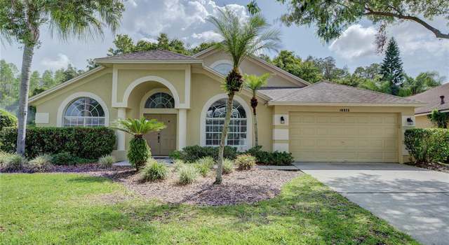 Photo of 18025 Palm Breeze Dr, Tampa, FL 33647
