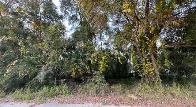Photo of NE 132nd St, Salt Springs, FL 32134
