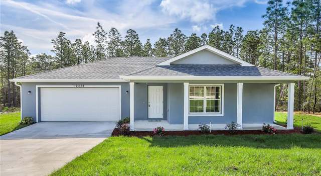 Photo of 12338 Snowy Egret Ave, Weeki Wachee, FL 34614