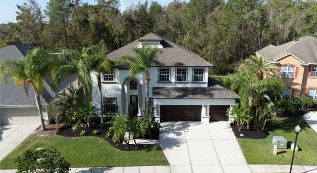 Photo of 3405 Loggerhead Way, Wesley Chapel, FL 33544