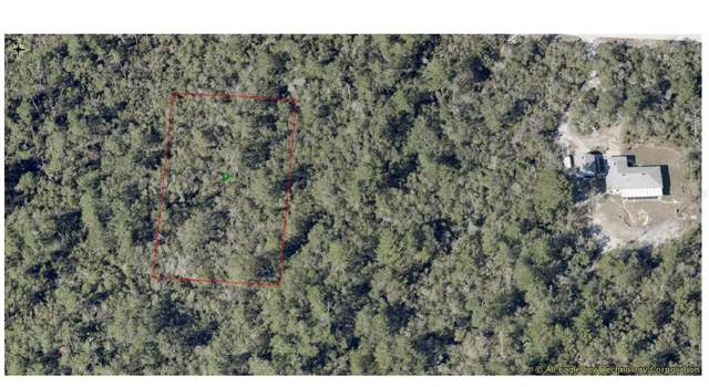 Photo of Walter Paper Ave, Lake Helen, FL 32744