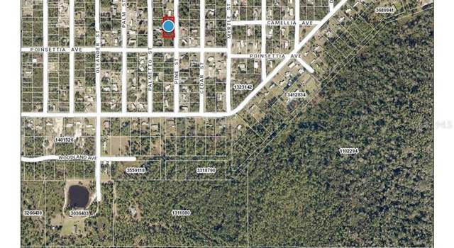 Photo of Lot 37-44 Pine St, Paisley, FL 32767