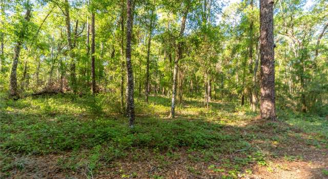 Photo of 5282 S Robert Blake Ave, Inverness, FL 34452