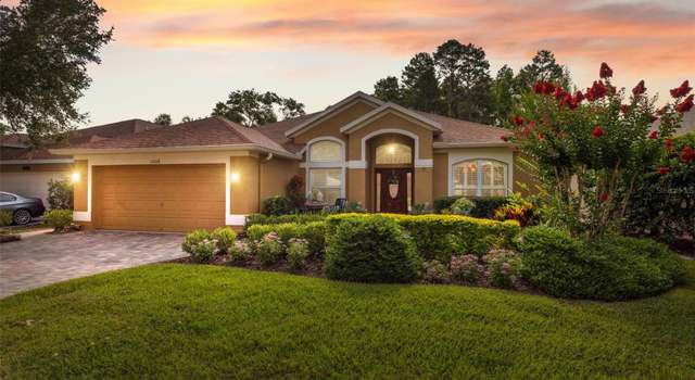 Photo of 19418 Morden Blush Dr, Lutz, FL 33558