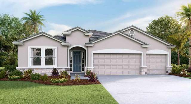 Photo of 32231 Conchshell Sail St, Wesley Chapel, FL 33545