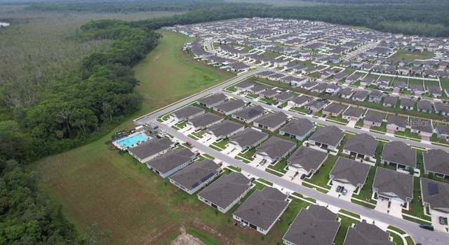 Photo of 20029 Royal Tern Ct, Leesburg, FL 34748