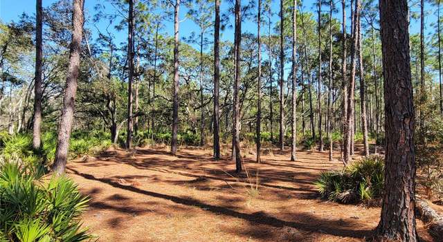 Photo of 16442 Hardeman Jct, Weeki Wachee, FL 34614
