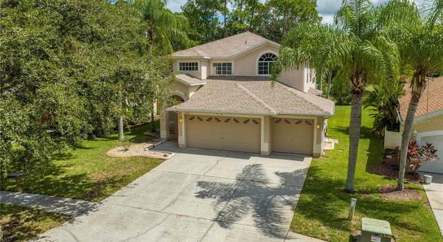 Photo of 16018 Shinnecock Dr, Odessa, FL 33556