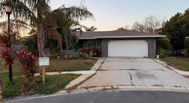 Photo of 3544 Snowy Egret Ct, Palm Harbor, FL 34683