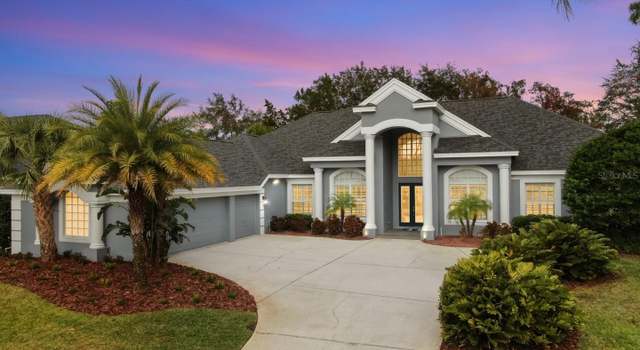 Photo of 5253 Mira Vista Dr, Palm Harbor, FL 34685