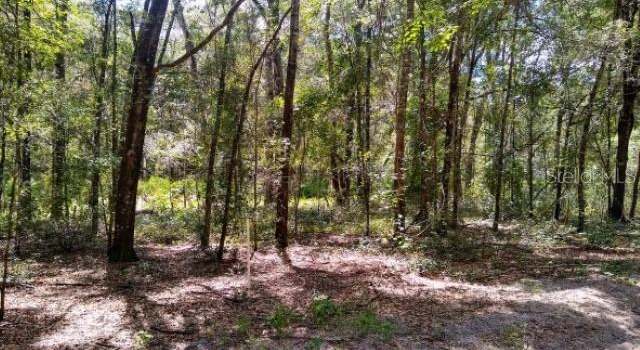 Photo of TBD SW 79th Pl, Archer, FL 32618