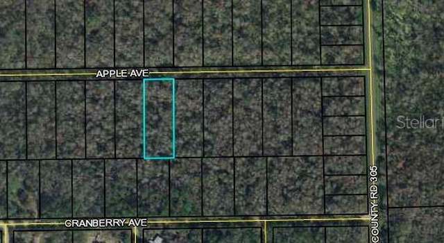 Photo of 3681 Apple Ave, Bunnell, FL 32110