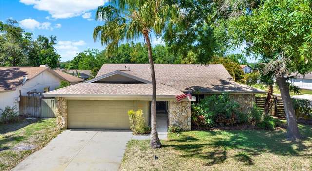 Photo of 4101 Hollowtrail Dr, Tampa, FL 33624