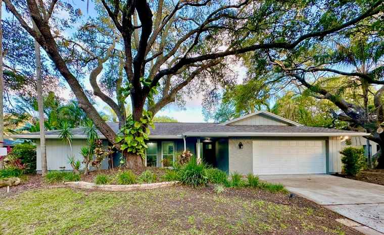 Photo of 939 Woodland Dr PALM HARBOR, FL 34683