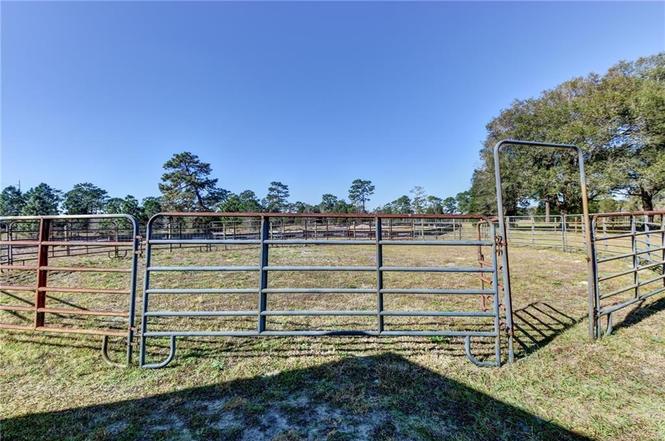 2060 E Kicklighter Rd, LAKE HELEN, FL 32744 | MLS ...