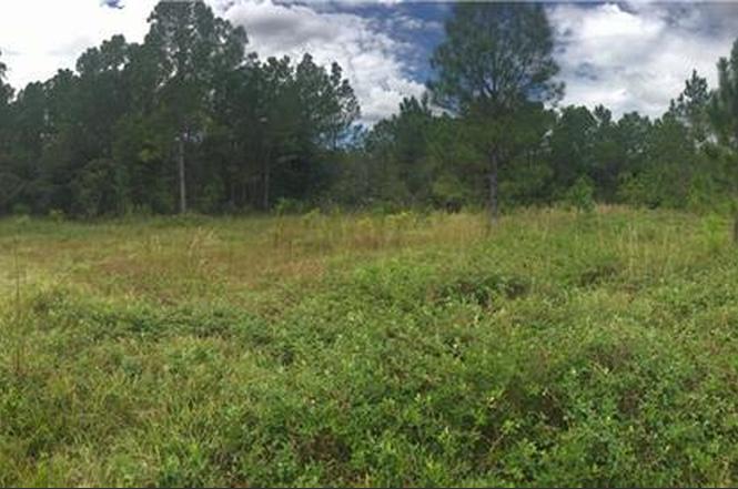 Old Grade Rd, POLK CITY, FL 33868 | MLS# O5808072 | Redfin