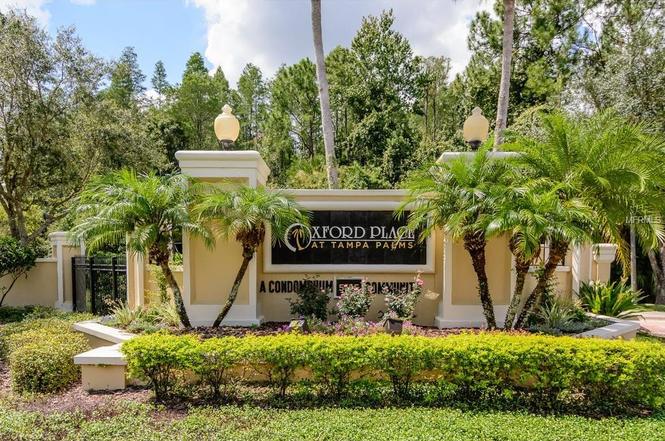 5125 Palm Springs Blvd 14306 Tampa Fl 33647 145 000 Mls 5125 Palm Springs Blvd 14306 Tampa Fl 33647